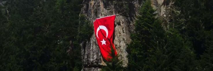 selimci's banner