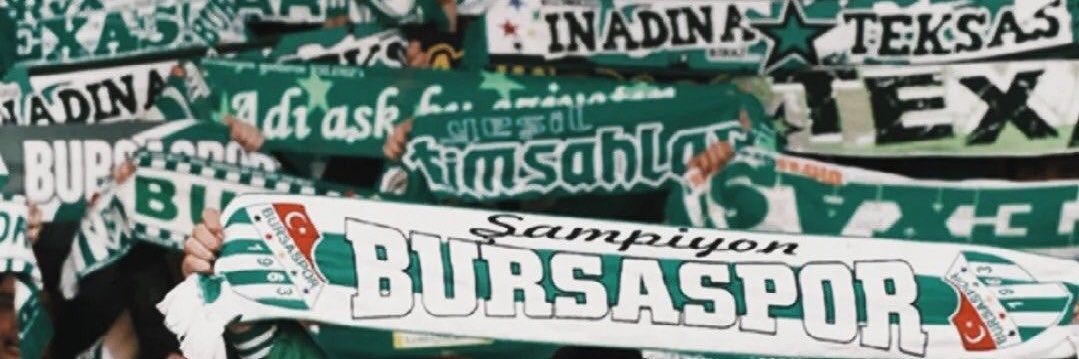 pinaristan's banner