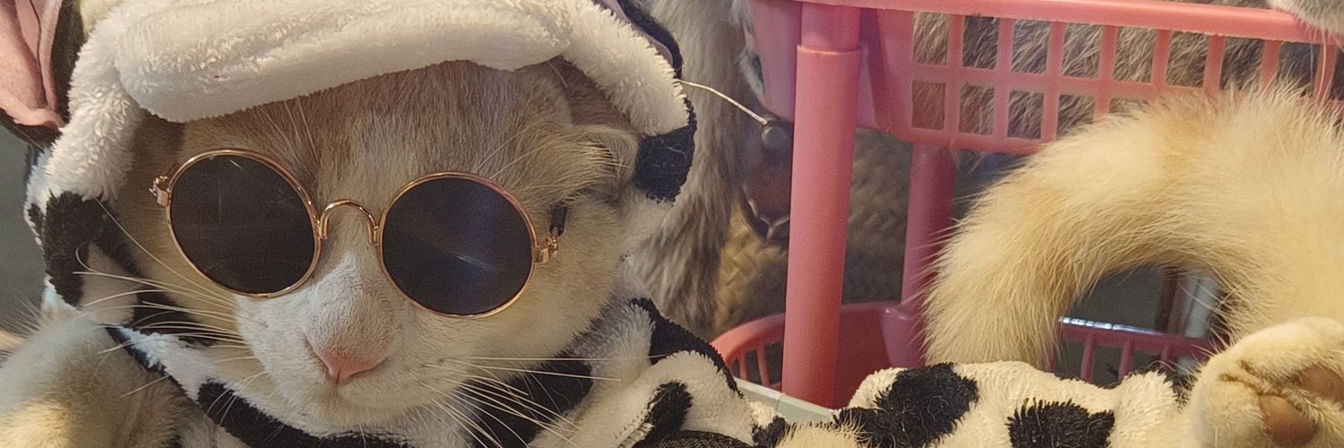 Feelran's banner