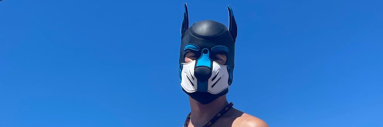 Loki Odinson 🐾🐾MAL🐾🐾's banner