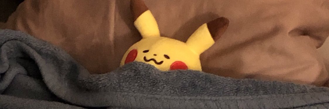 pikachu stole my credit card and called me a bitch's banner