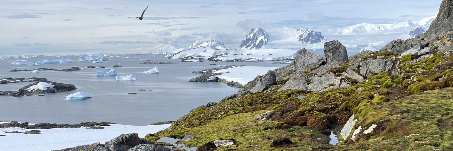 National Antarctic Scientific Center 🇺🇦's banner