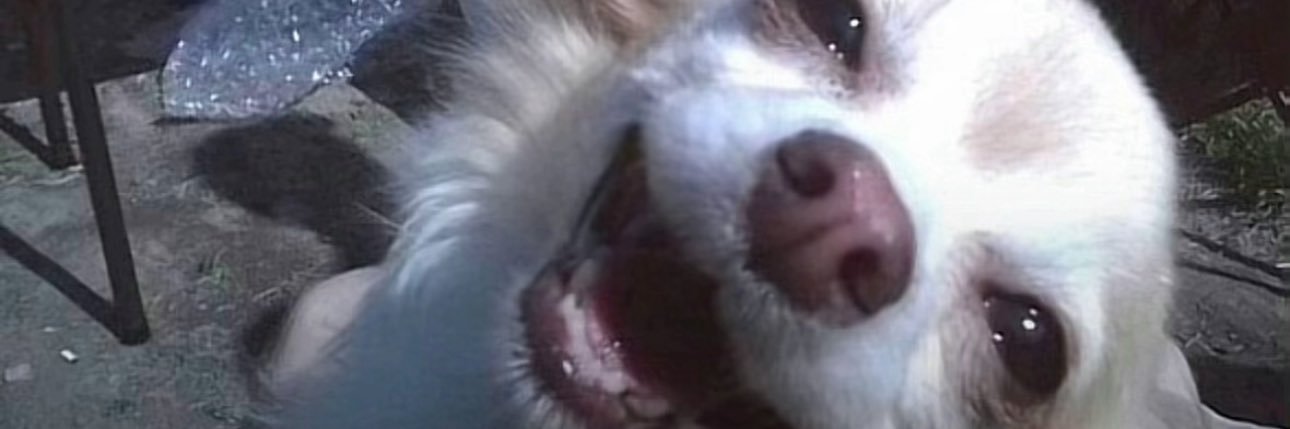Dee__.18's banner