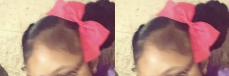 niecey p's banner