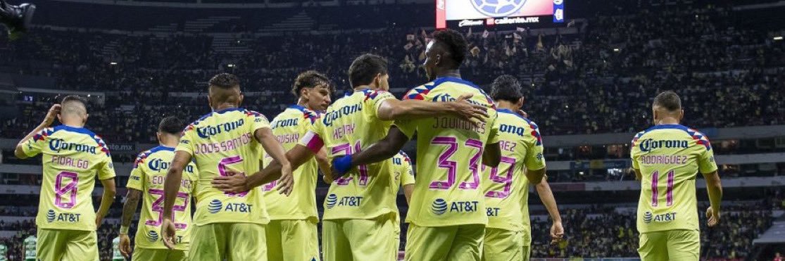 Veiguismo Brasileño 🇧🇷's banner