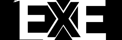 Exe's banner