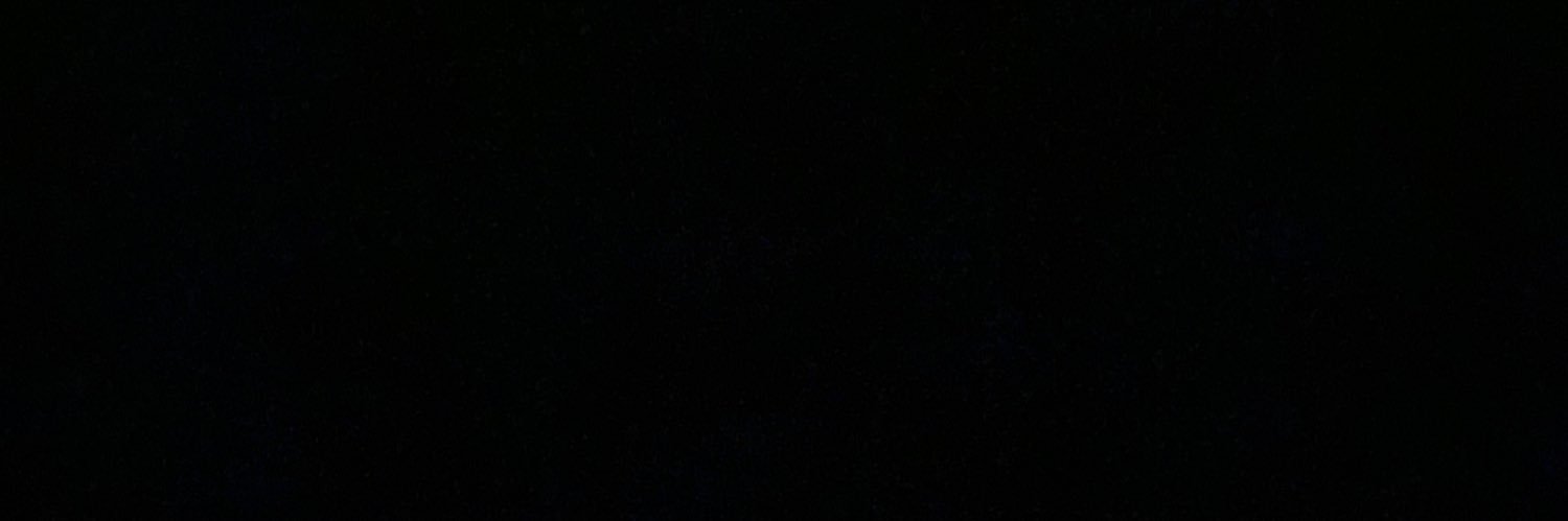b r a n do's banner