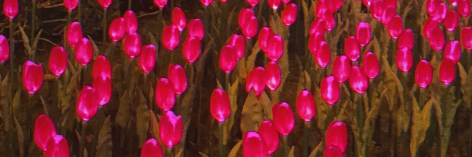 I’m 00's banner