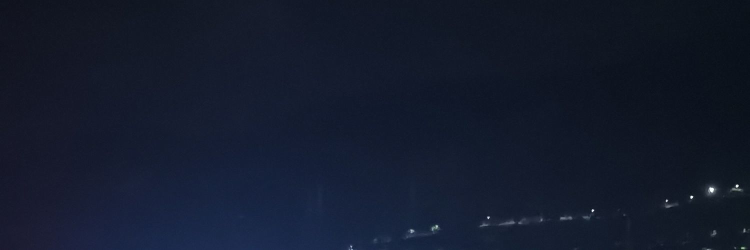 野裸の小胖's banner