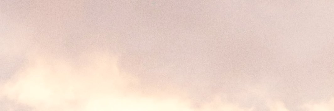 Fleur♡'s banner