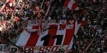 pincharratas 8k's banner