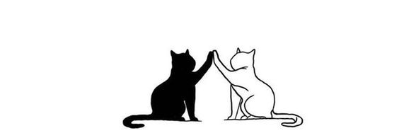 Kitty's banner