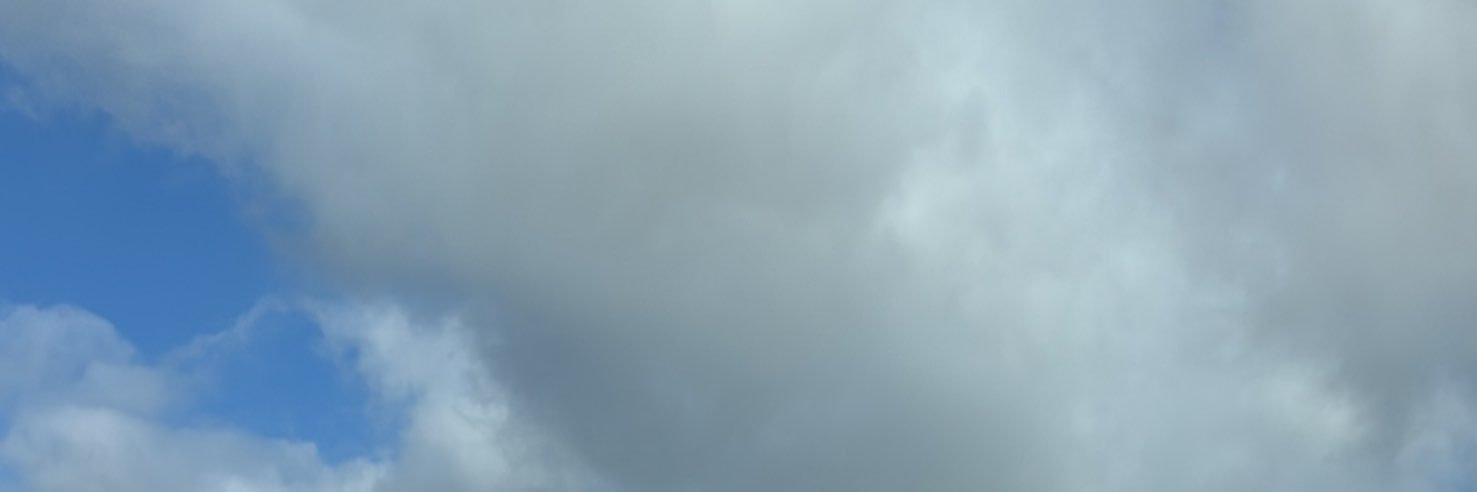 علي's banner
