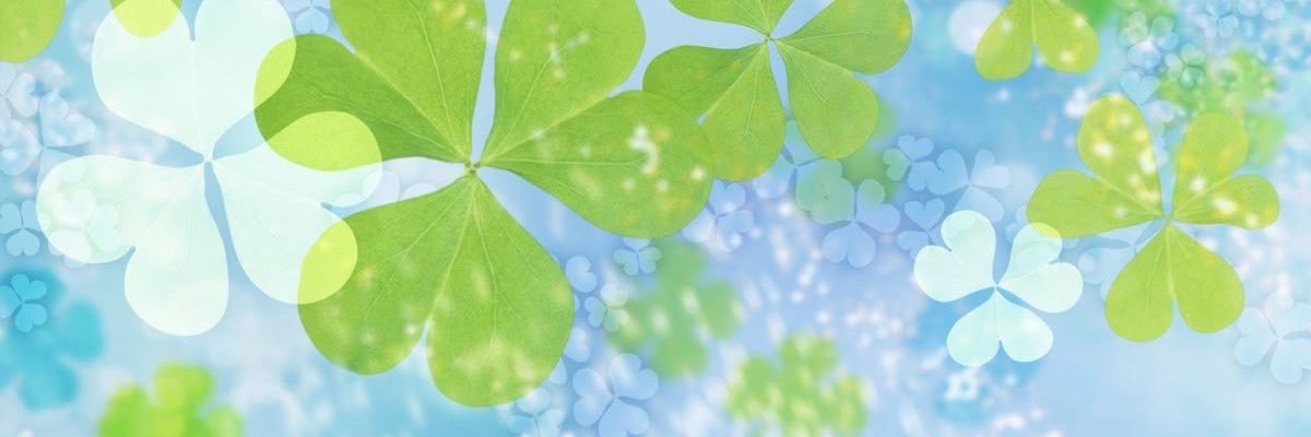 ﹺ's banner