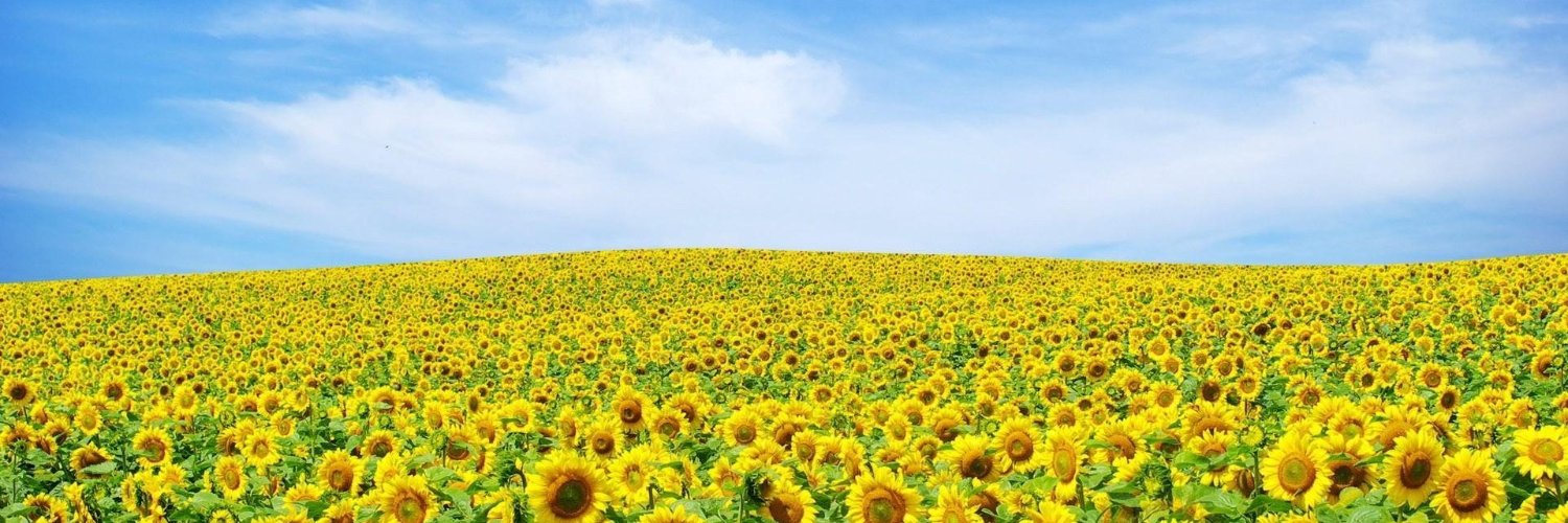Зорян Джмелевой IV's banner