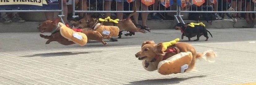 hotdog..'s banner