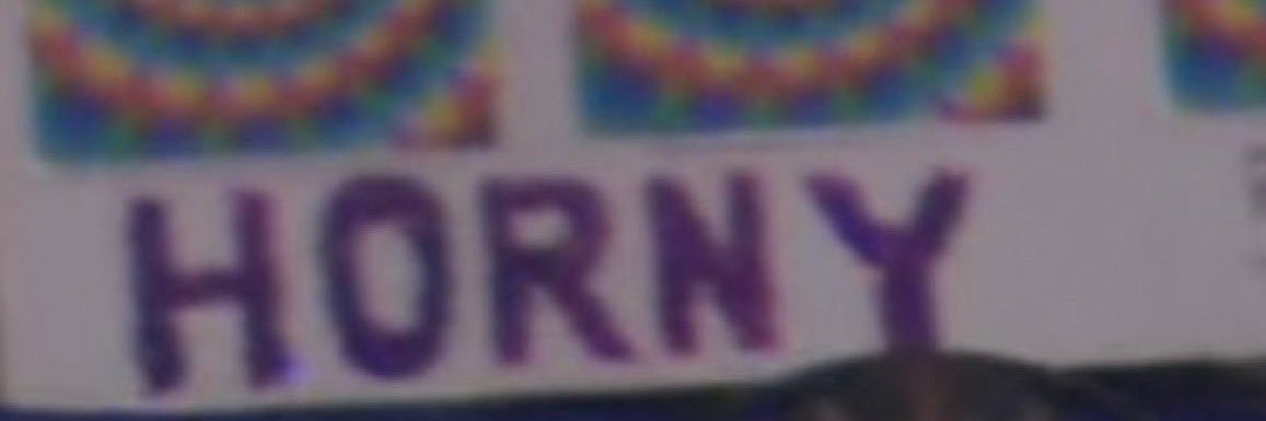 Horned Frog Larry🐸's banner