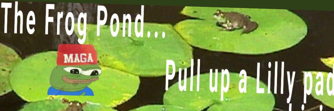 Vegas Frog🎙️'s banner