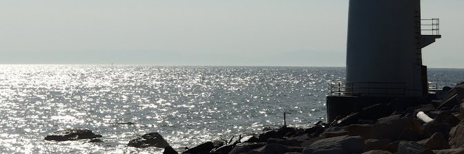 ハコベ舎's banner