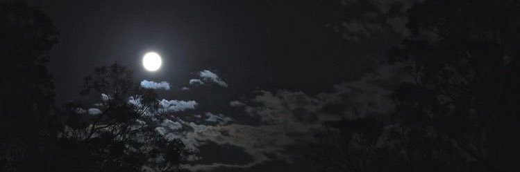 z.'s banner