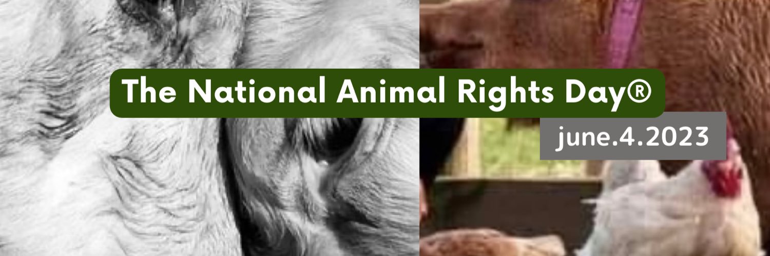 VoiceforAnimals_japan ™ 🐺's banner