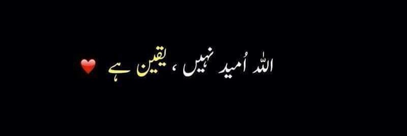 Aisha Abbasi's banner