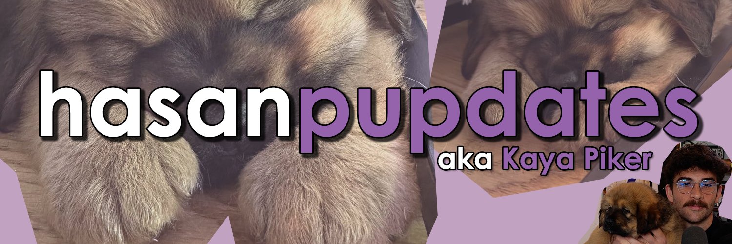 Kaya Piker 🐻 hasanpupdates's banner