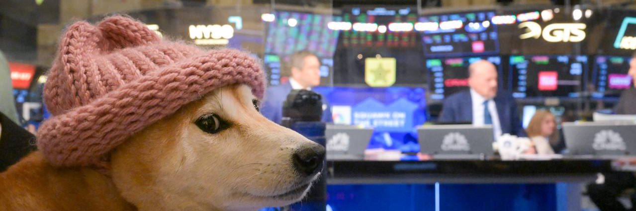 dogwifcoin's banner