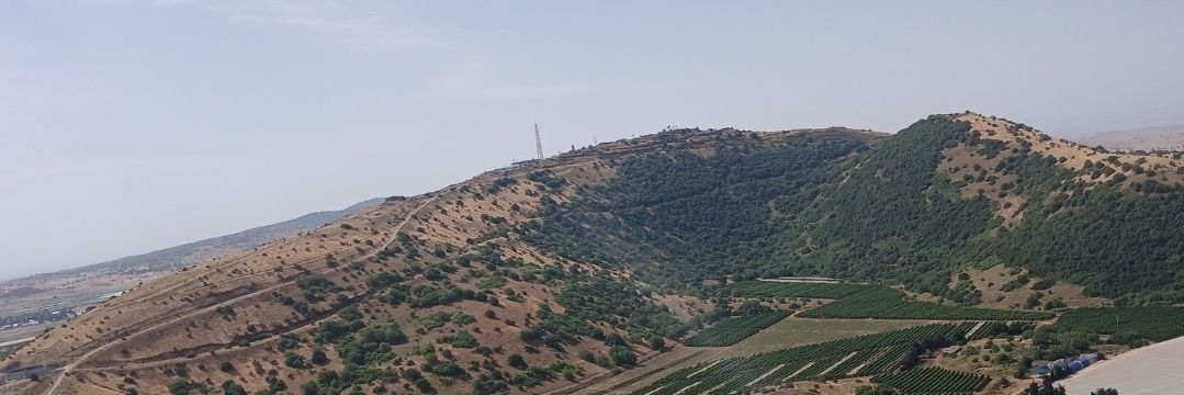 Idan 🇮🇱🕎's banner