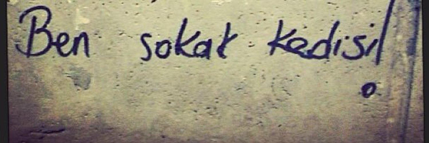 sokak kedisi's banner