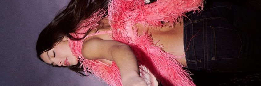 lavs⋆˚ 𓏲ּ𝄢 the cure's banner