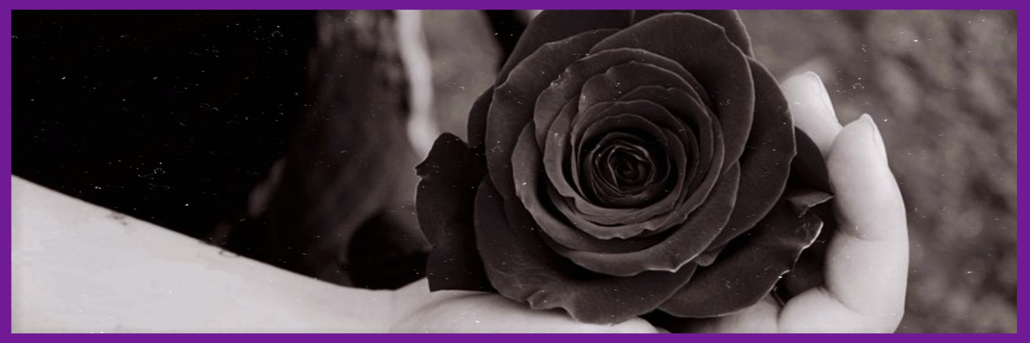 𝐓𝐡𝐞 𝐁𝐥𝐚𝐜𝐤 𝐑𝐨𝐬𝐞's banner