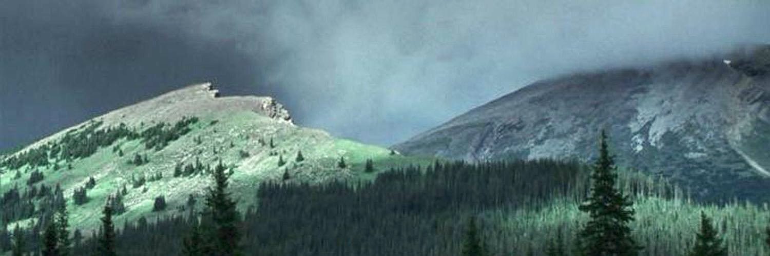 Lee (Trans Arthur Truther)'s banner