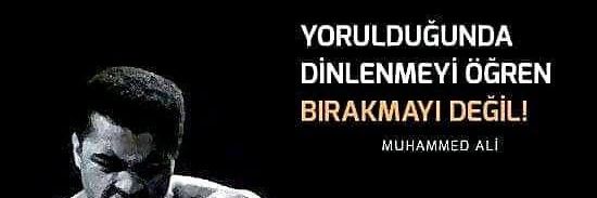 Bora Tayfun's banner