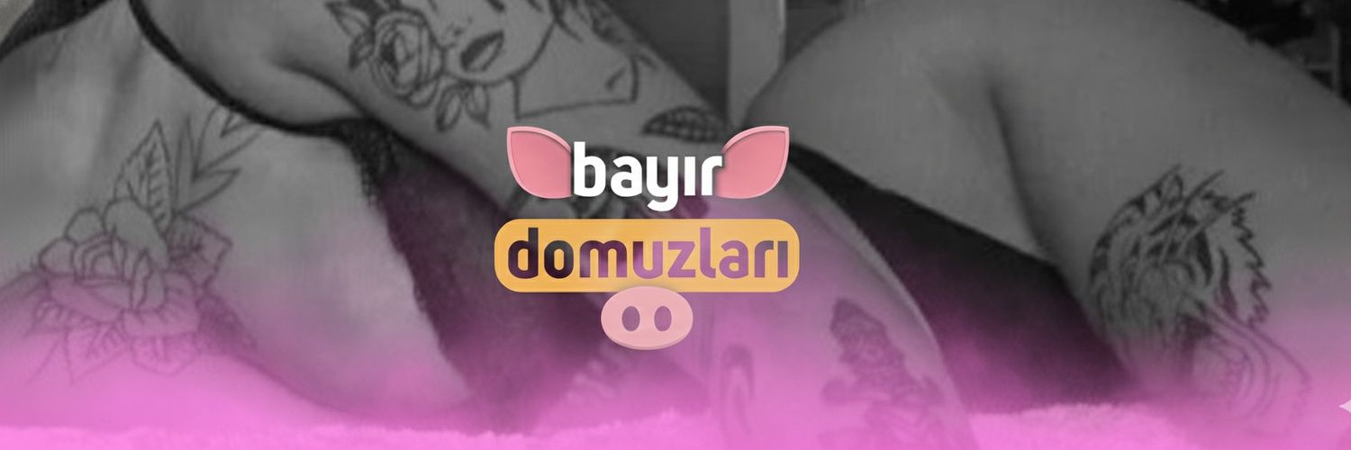 Bayır Domuzları's banner