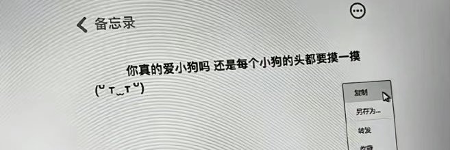 小狗牌's banner