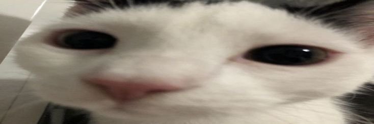 a ⟡'s banner