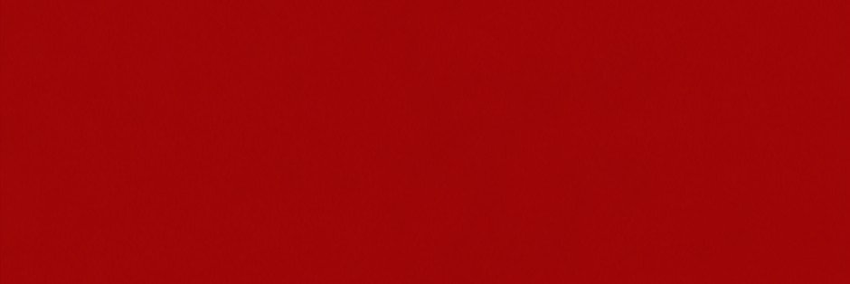 Vanessa Bohorquez's banner