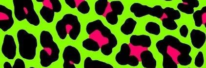 𝓀𝒾𝓉𝓉𝓎's banner