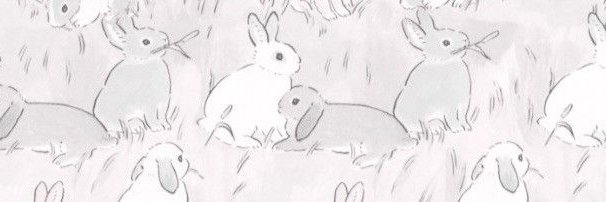 ali 🐇's banner