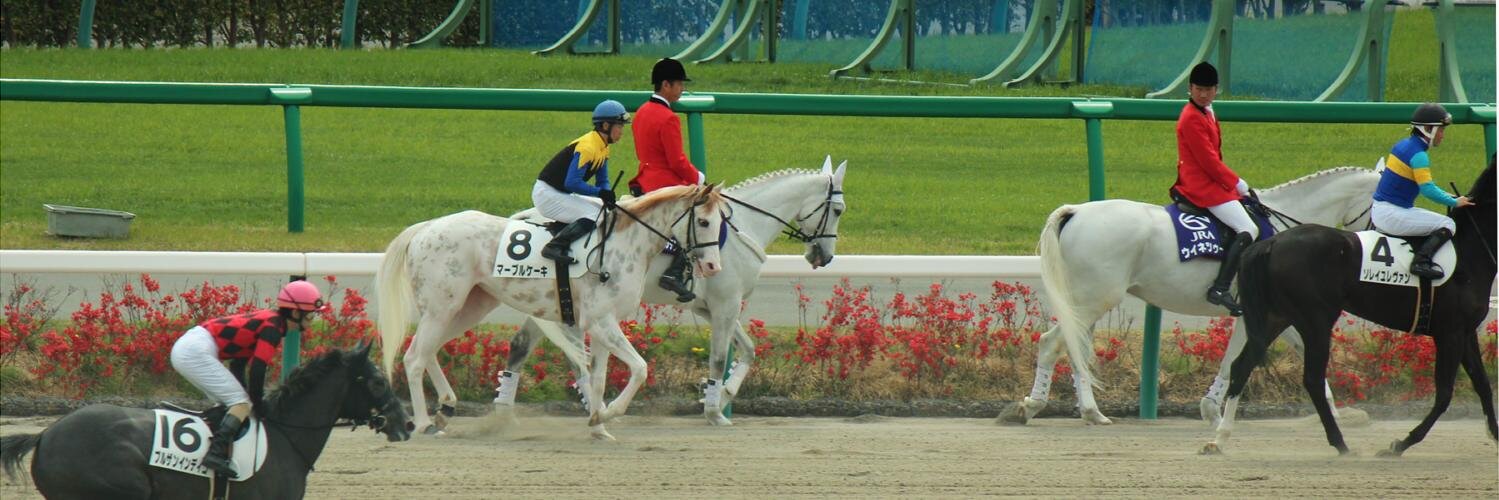 らん🐴's banner