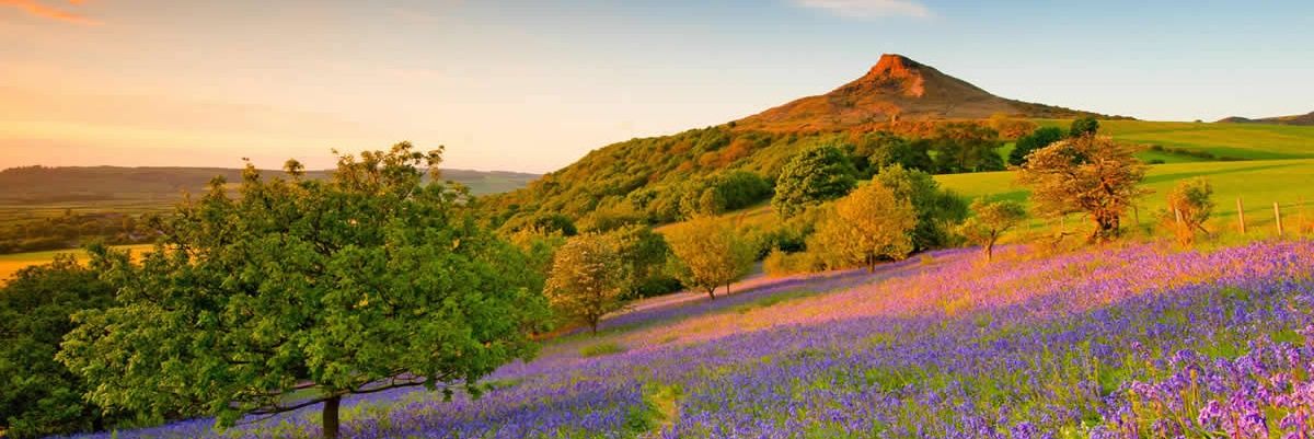 North Yorkshire's banner