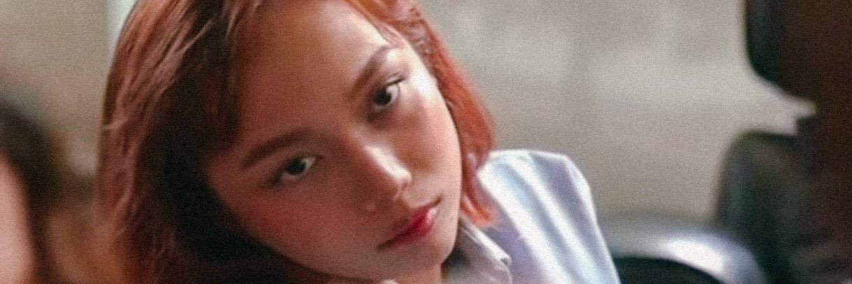 meg 🦈's banner