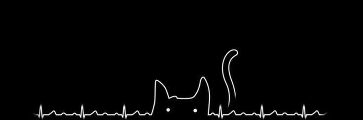 ayunk's banner