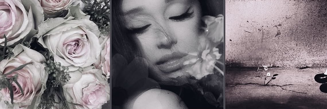𝐢𝐦𝐚𝐧𝐢 | ꕤ's banner