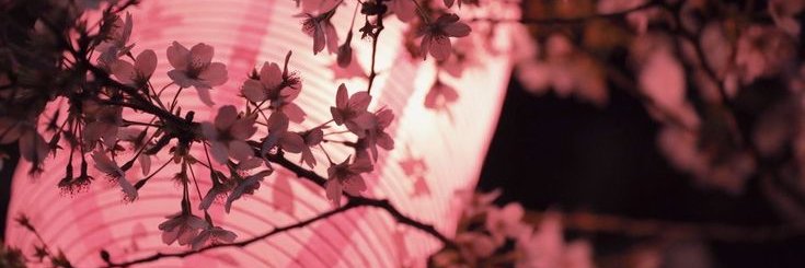 kaizen.kk's banner