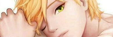 Chat noir 😺's banner