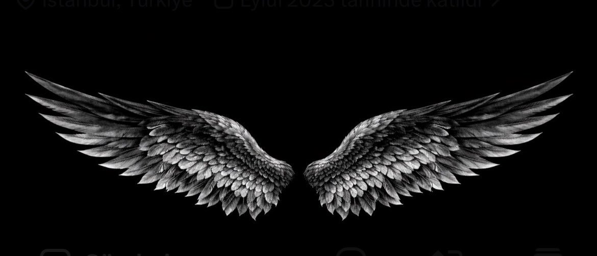 ‘'s banner
