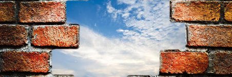 蒲公英Dandelion's banner