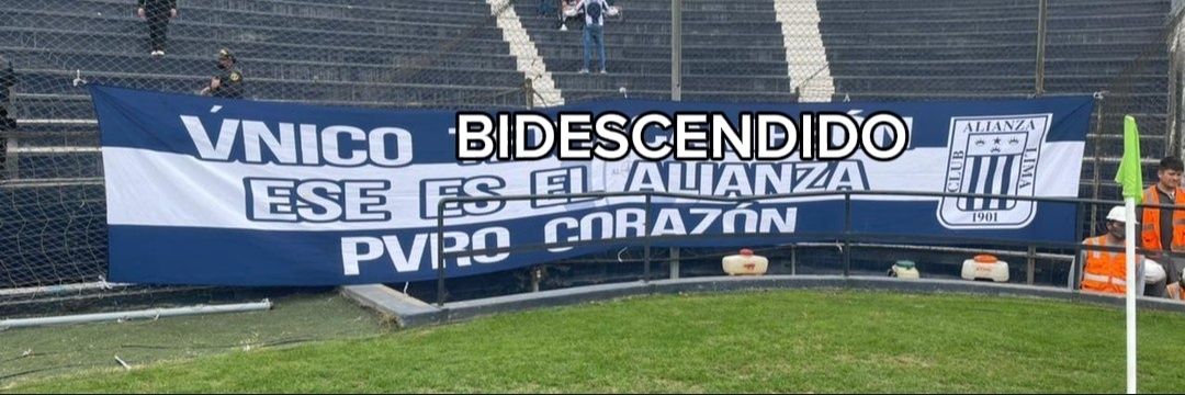 Socios Organizados al 19O1's banner